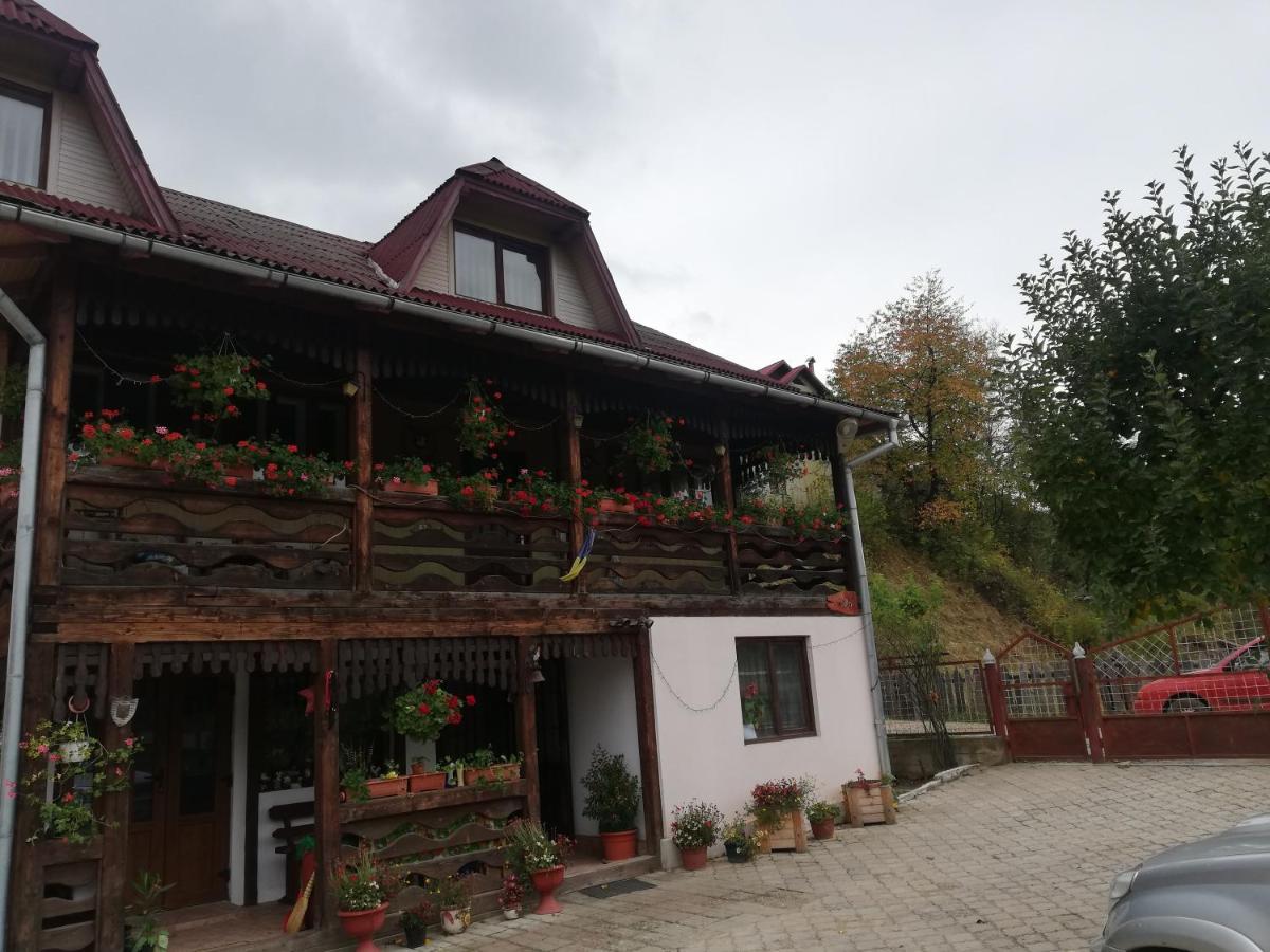 Casa Cozorici Hotel Sadova  Exterior photo