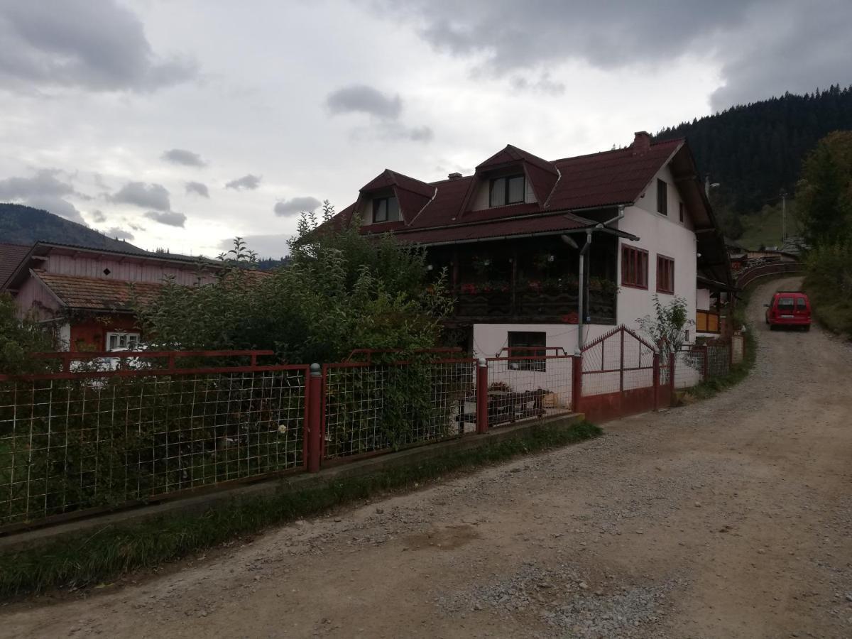 Casa Cozorici Hotel Sadova  Exterior photo